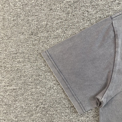 GODSPEED E PLURIBUS UNUM T-SHIRT WASHED GREY - Vanté®