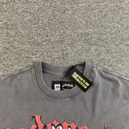 GODSPEED E PLURIBUS UNUM T-SHIRT WASHED GREY - Vanté®